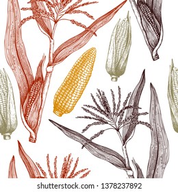 Vector background with corn illustration. Hand drawn maize sketch. Botanical seamless pattern with vintage cereal plants drawing. Healthy food design.