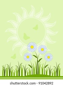 vector background with daisies in grass