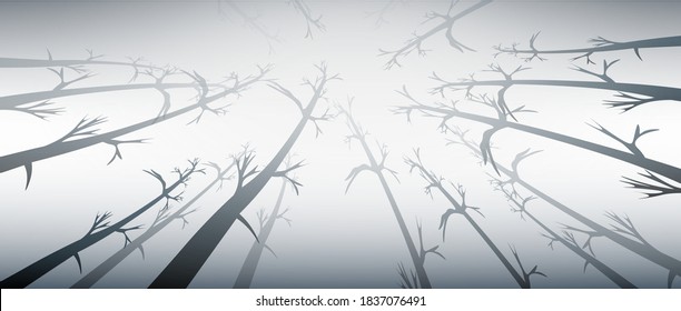 Fondo vectorial del bosque oscuro al amanecer. Ilustración del vector del crepúsculo forestal. Árboles y ramas horizontales sin soldadura. Imagen de troncos de fuerza. Niebla