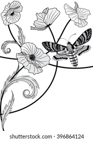 vector background with death's head hawk moth (Acherontia atropos) and flowers of poppy