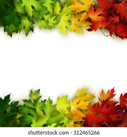 Vector background decorated with colorful autumn leaves, card, banner