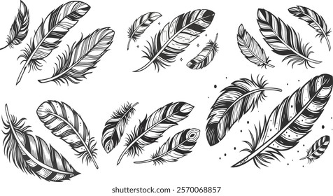 vector, background, decoration, bird, feather, wing, silhouette, vintage, black, set, drawing, isolated, design, beauty, logo, object, collection, quill, shape, soft, element, graphic, fluffy, plume 