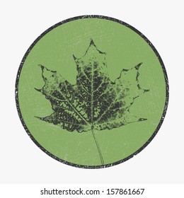 Vector background. Vector design. Leaf. Autumn.