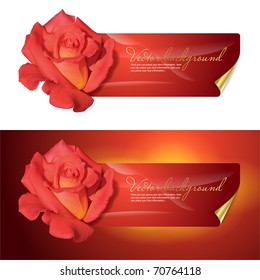 Vector background for design with a red rose.