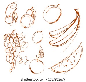 Vector background for design with a set of images of fruits