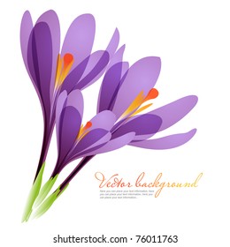 Vector background for design with spring flowers