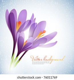 Vector background for design with spring flowers