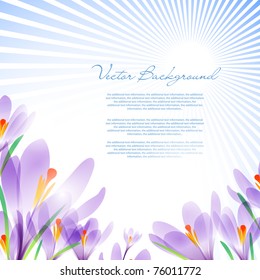 Vector background for design with spring flowers