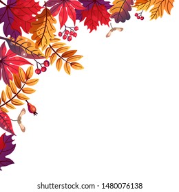 Vector background with different autumn leaves and berries, red, purple and orange leaves, oak, maple