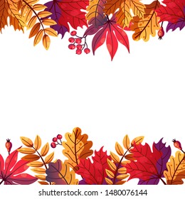Vector background with different autumn leaves and berries, red, purple and orange leaves, oak, maple
