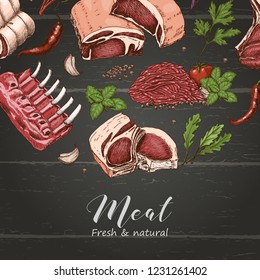 Vector background with different color meats in sketch style. Vector illustration for your design