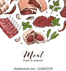 Vector background with different color meats in sketch style. Vector illustration for your design