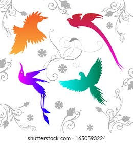 Vector background with different colored birds of paradise and ornament. For design