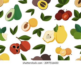 Vector background of different fruits in flat style. Vector food pattern of quince, apricot, American apricot, avocado, cherry plum, aki, abiu, ambarella. Healthy foods for proper nutrition