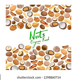 Vector background with different types nuts. Nutrition and agriculture concept. Walnut, coconut, nutmeg, hazelnut, pecan, almond, peanut, macadamia. Pattern with seeds and nuts on a white background.