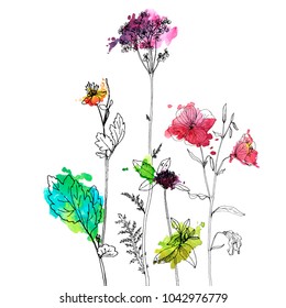 Vector background with drawing wild plants, herbs and flowers and paint stains, botanical illustration, natural floral template