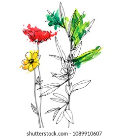 Vector background with drawing wild plants, herbs and flowers and paint stains, botanical illustration, natural floral template