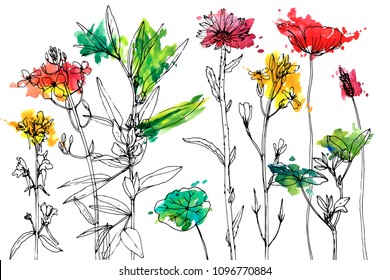 Vector background with drawing wild plants, herbs and flowers and paint stains, botanical illustration, natural floral template