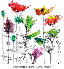 Vector background with drawing wild plants, herbs and flowers and paint stains, botanical illustration, natural floral template