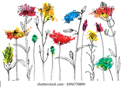 Vector background with drawing wild plants, herbs and flowers and paint stains, botanical illustration, natural floral template