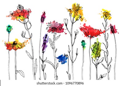 Vector background with drawing wild plants, herbs and flowers and paint stains, botanical illustration, natural floral template