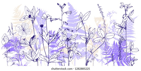 Vector background with drawing wild plants, herbs and flowers, botanical illustration, natural floral template
