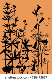 Vector background with drawing wild plants, herbs and flowers, monochrome botanical illustration in vintage style, silhouette floral template