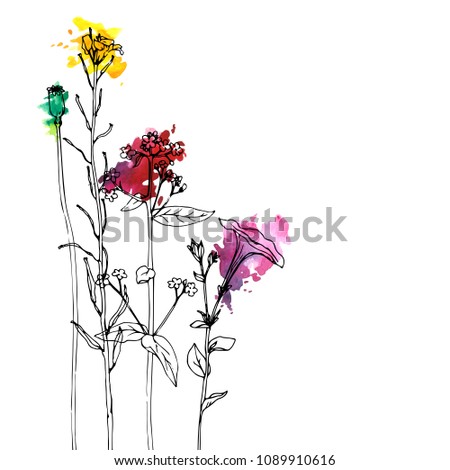 Vector background with drawing wild plants, herbs and flowers and paint stains, botanical illustration, natural floral template
