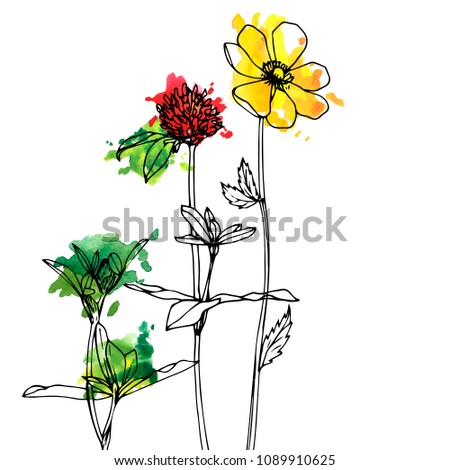 Vector background with drawing wild plants, herbs and flowers and paint stains, botanical illustration, natural floral template