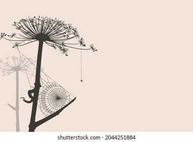 Vector background with dry plants and spiderweb. 