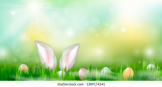 Vector background for Easter. Easter eggs and Rabbit ears sticking out of the grass . Festive decoration. - Vector