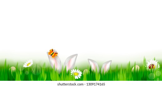 Vector background for Easter. Easter eggs and Rabbit ears sticking out of the grass . Festive decoration. - Vector