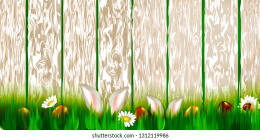 Vector background for Easter. Easter eggs and Rabbit ears sticking out of the grass . Festive decoration. - Vector