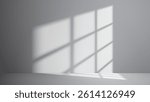 Vector background of empty white room with shadows of window for product presentation