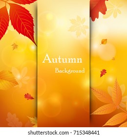Vector background of falling autumn leaves. Autumnal foliage fall and leafs flying in wind motion blur. Templates autumn design for cards, banners, flyers, posters.