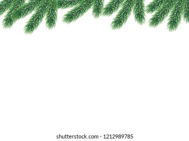 Vector background with fir branches
