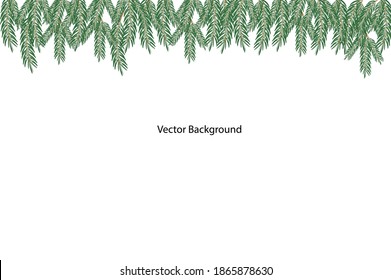 Vector background with fir branches.	