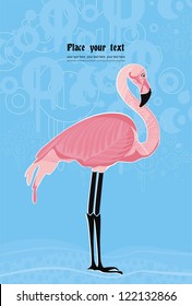 vector background with flamingo