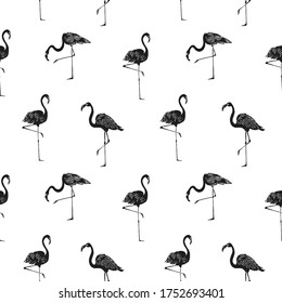 Vector background. Flamingos outlines. Print, paper or textile design. Element of seamless pattern