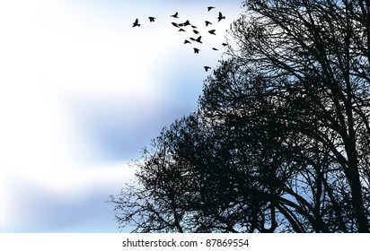 Vector background. A flock of birds flew off from the bare branches of trees