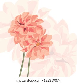 Vector background with flower, dahlia in apricot colour