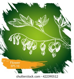 Vector background - flower.
Illustration sketch - The bleeding heart.