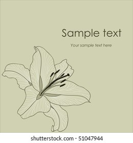 Vector background with flower lily and space for text