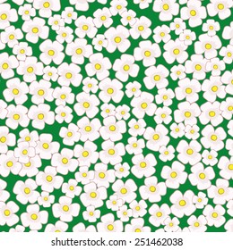 Vector background. Flowers.