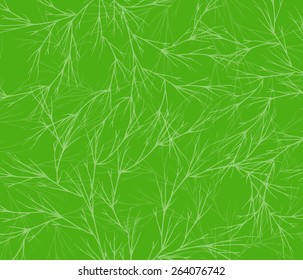 vector background with flowers