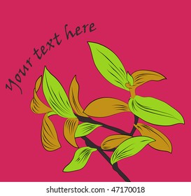 vector background with flowers.