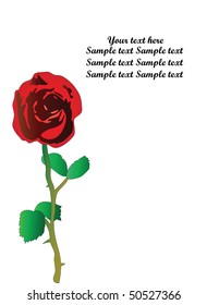 vector background with flowers.
