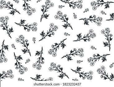 Vector background with flowers. Buttercup vector illustration. Flower pattern buttercup. Black and white vector engraving of buttercup. Floral pattern on a white background.
