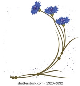 vector background with flowers of the cornflowers