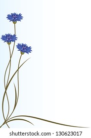 vector background with flowers of cornflowers for corner design